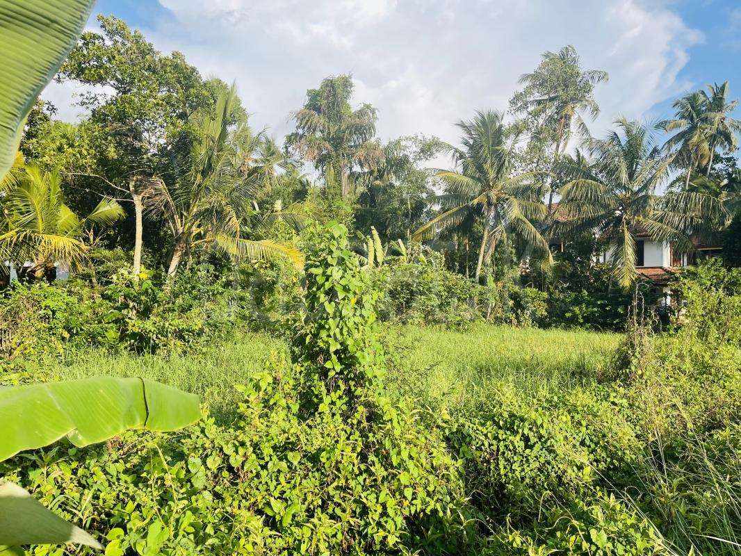 Commercial Land for Rent in Ja-Ela