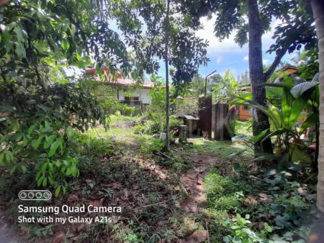 Residential Land for Sale in Gonapola Junction