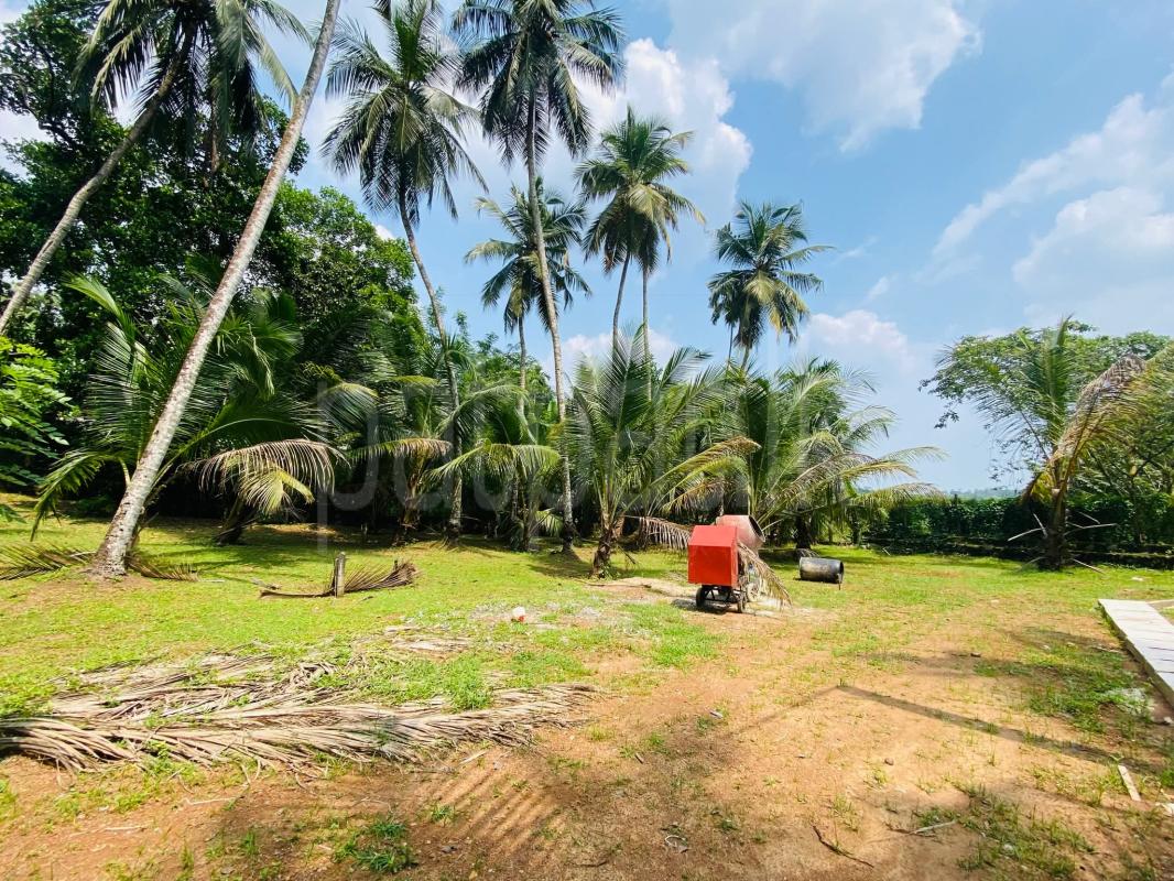 Residential Land for Sale in Weligama