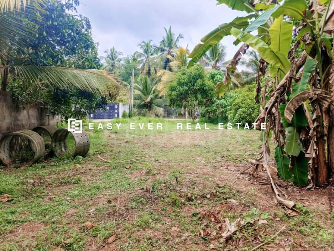 Residential Land for Sale in Kalagedihena