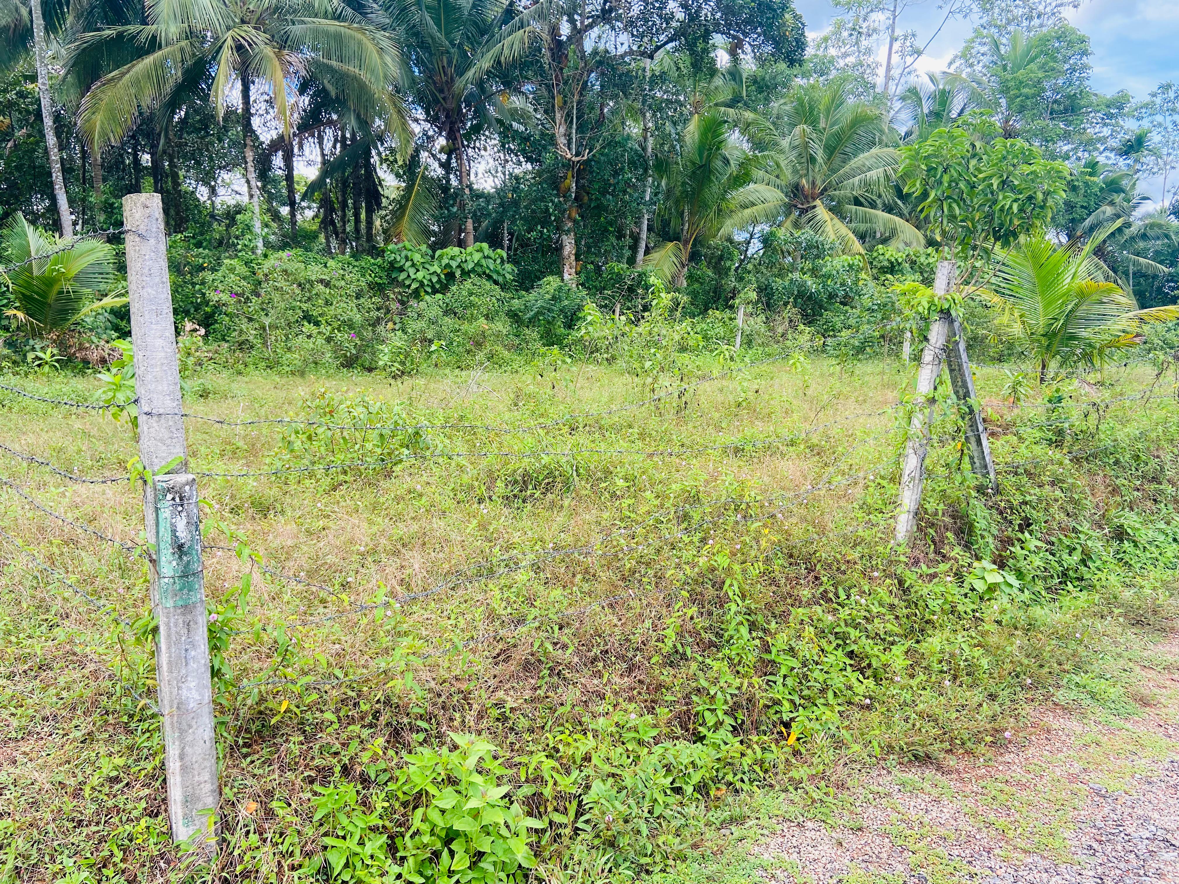 Residential Land for Sale in Horana