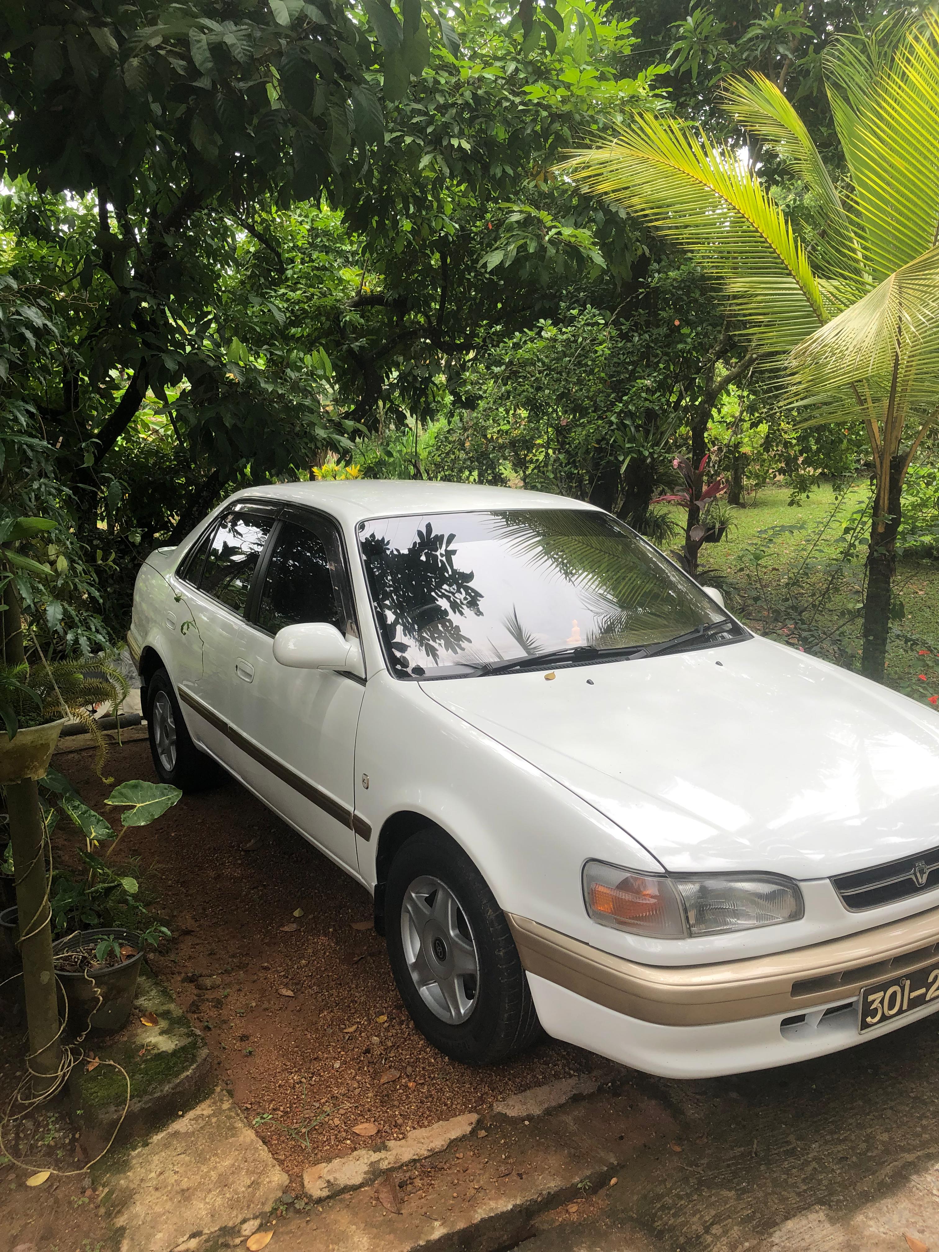 Toyota Corolla 1996 - Used Car sale in Sri Lanka - patpat.lk