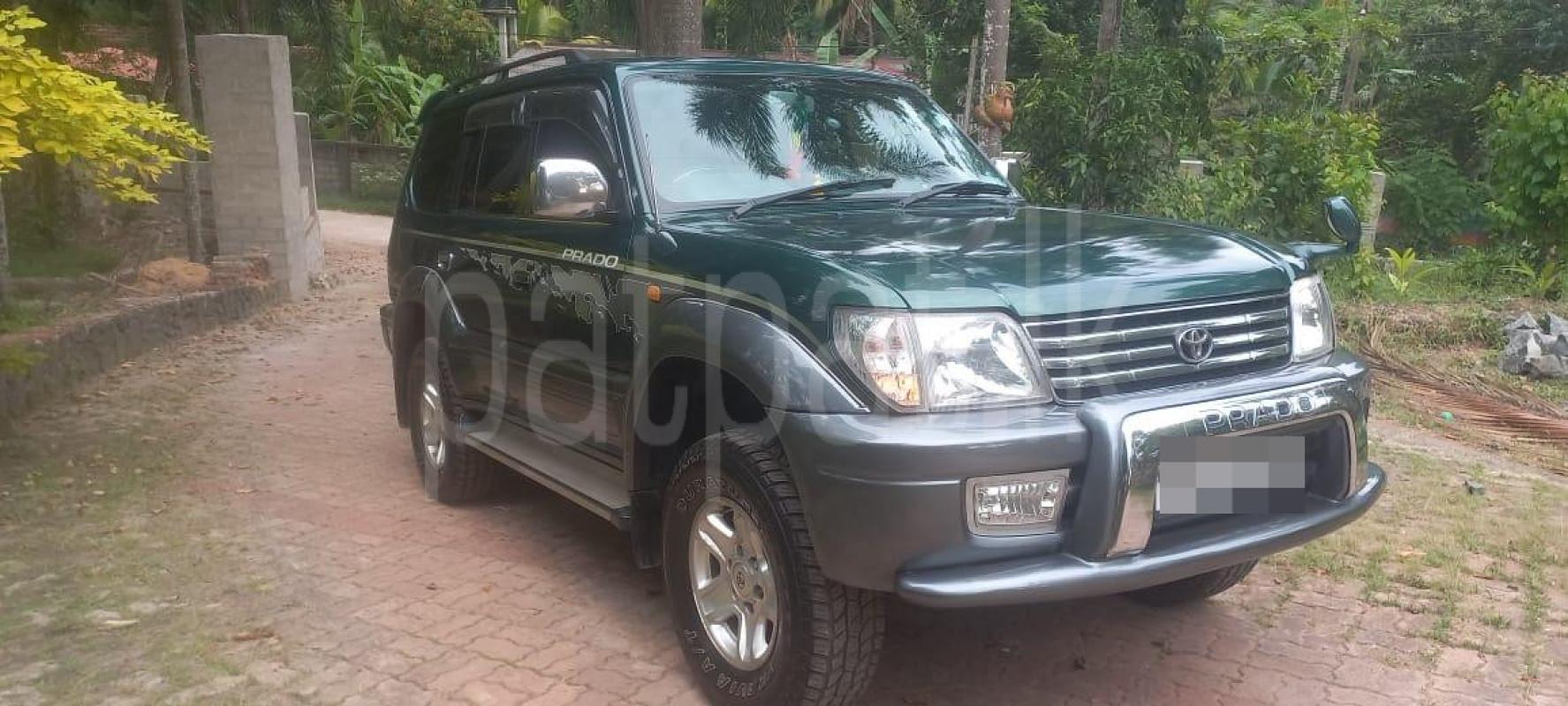 Advertisement image 2