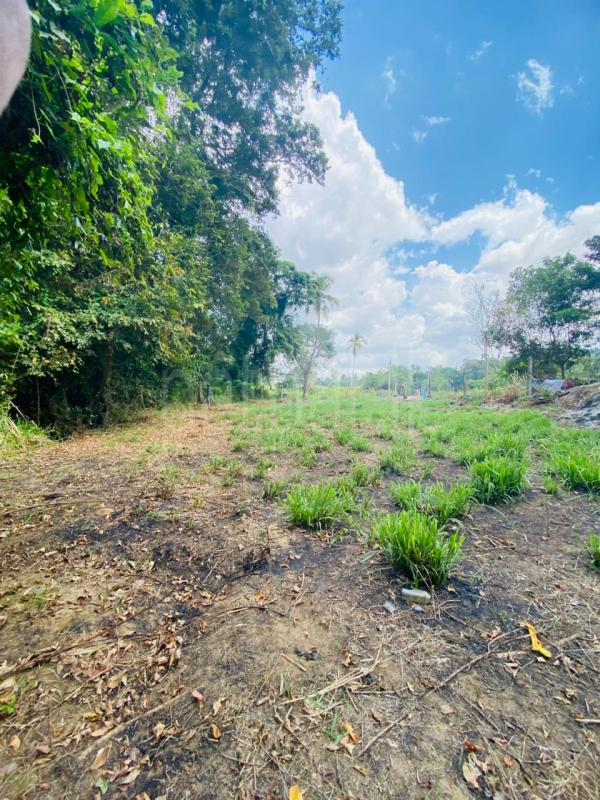 Commercial Land for Sale in Narammala
