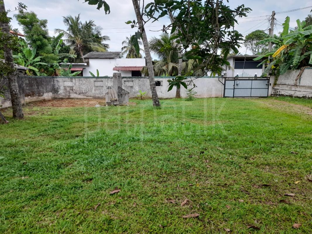 House for Rent in Biyagama ads-image-1