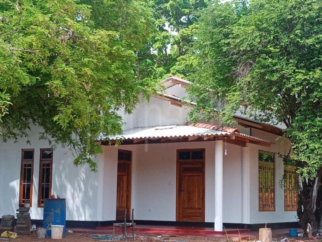 premium-listing-image