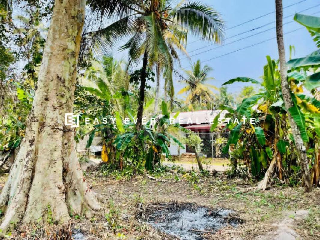 Residential Land for Sale in Gampaha