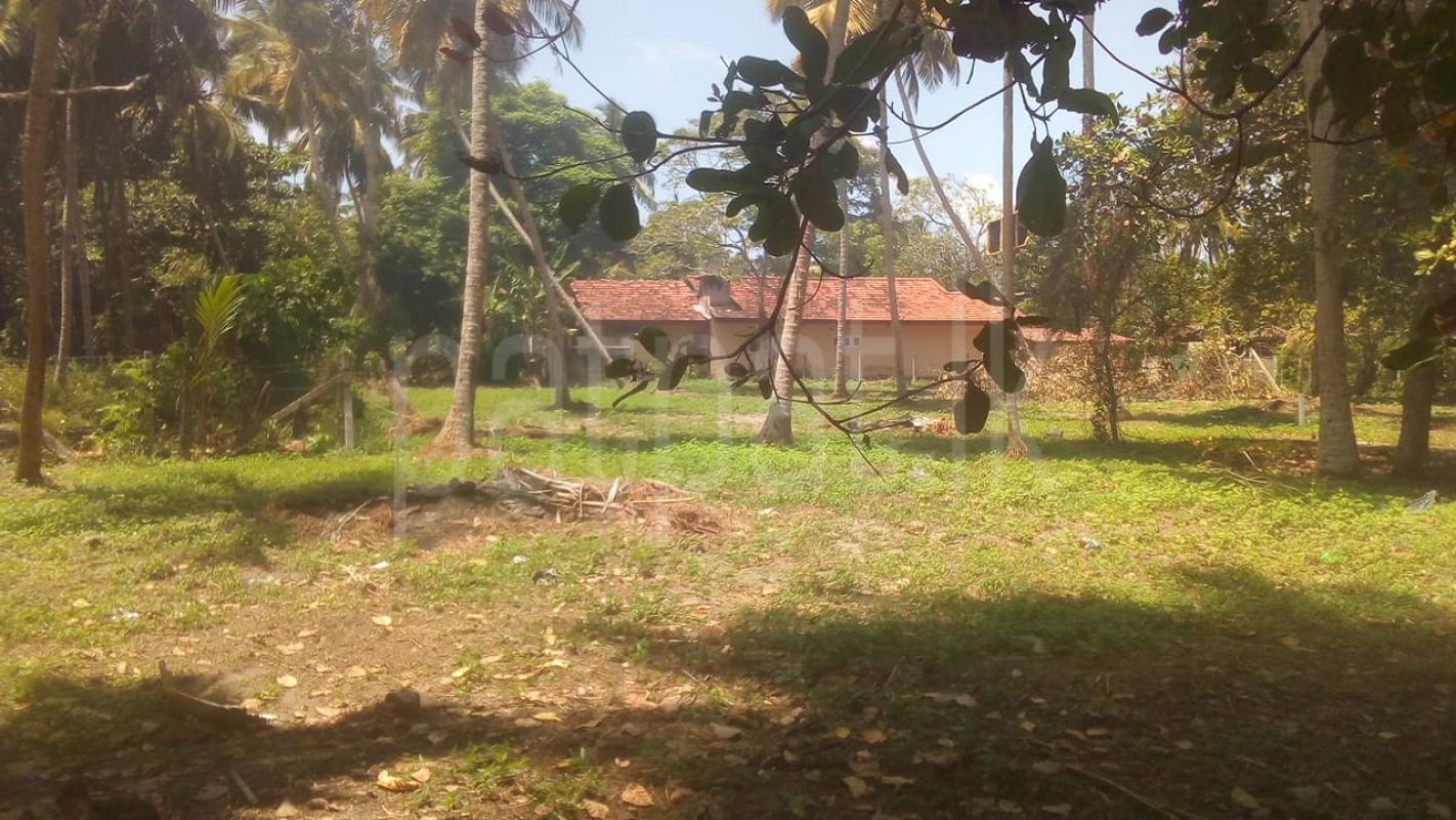  Land for Sale in Wadduwa