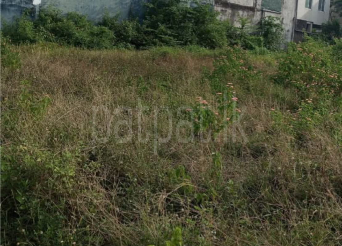 listing-image
