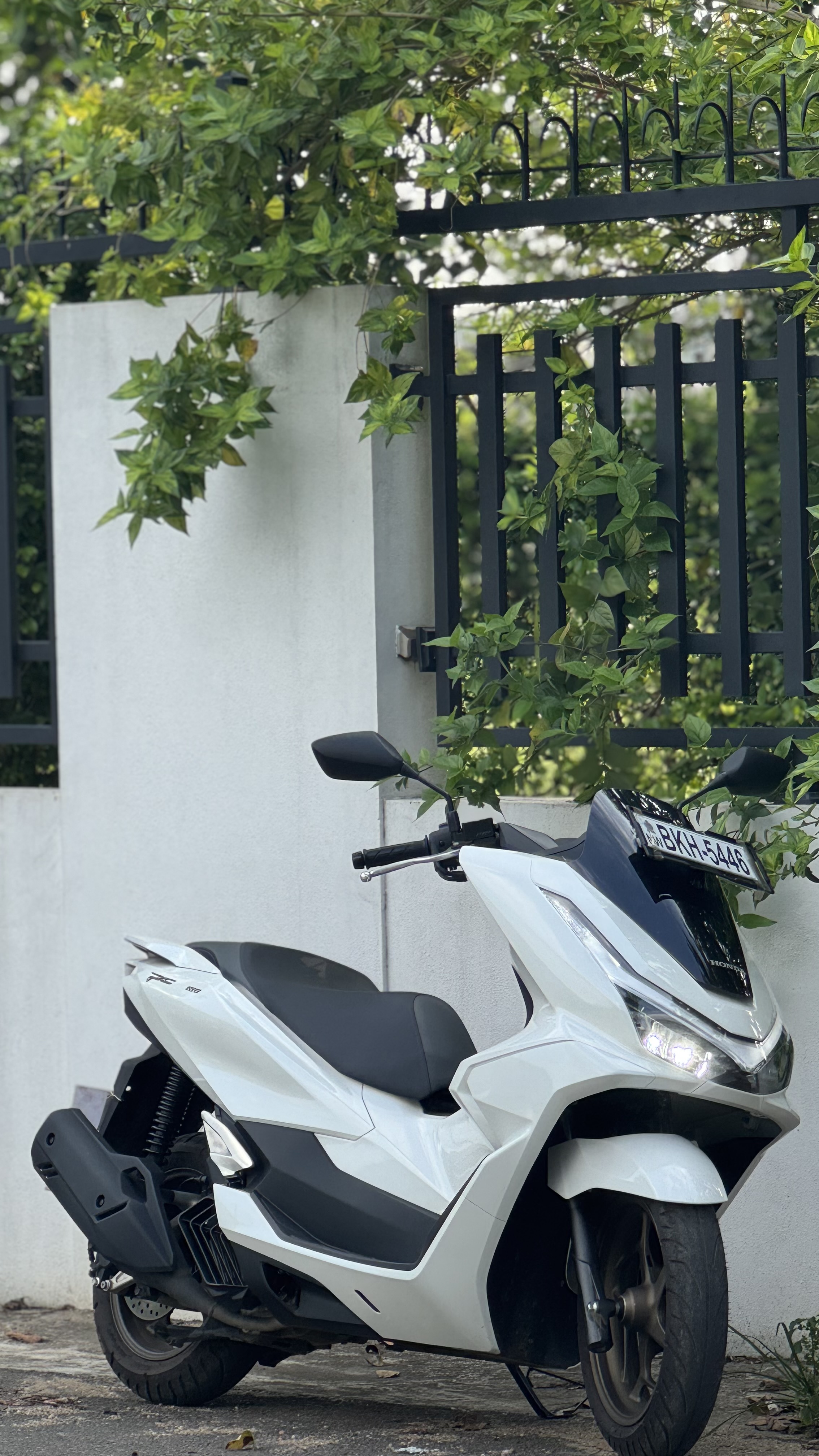 Honda PCX 2025 - Used Bike sale in Sri Lanka - patpat.lk