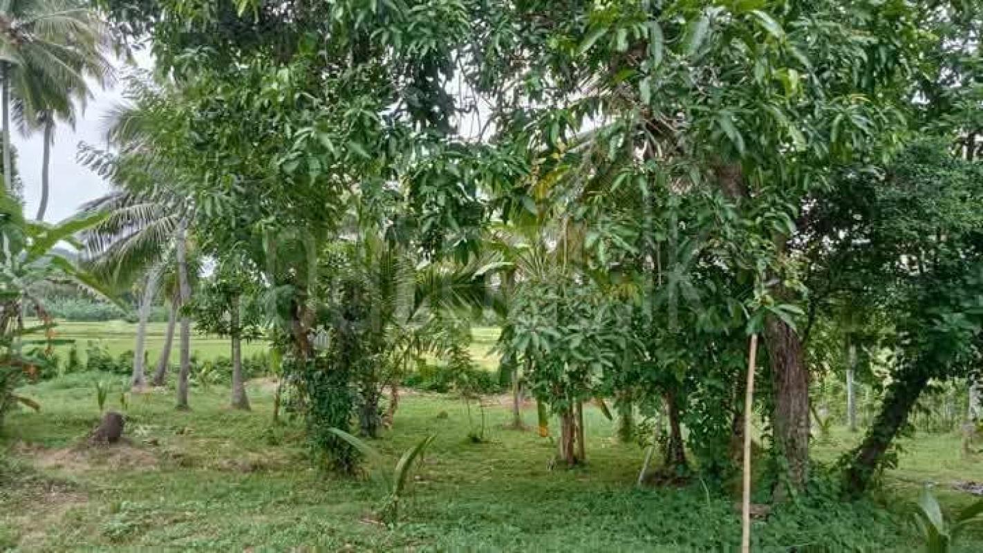 House for Sale in Kirindigalla ads-image-1