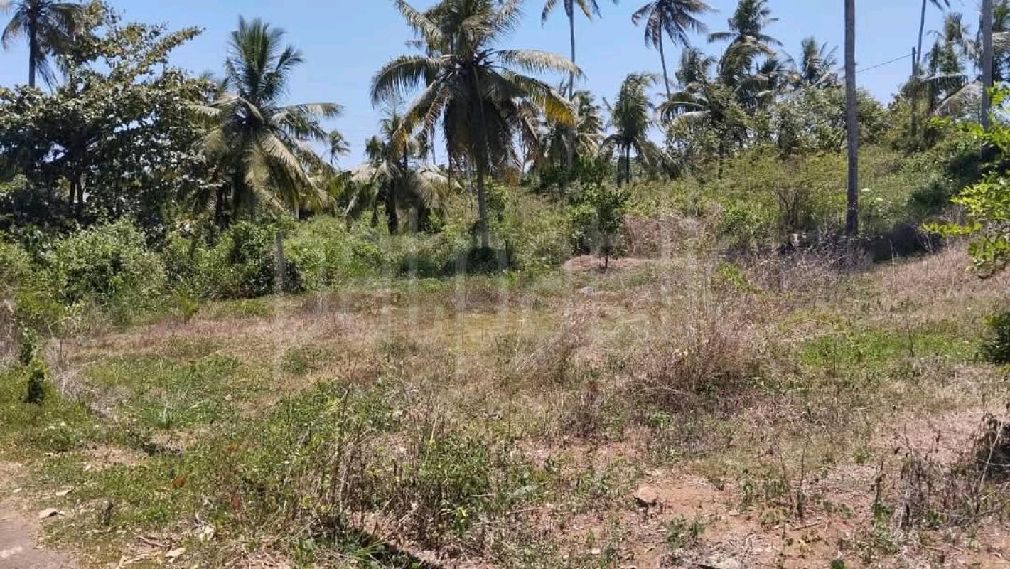 Agricultural Land for Sale in Maho ads-image-1