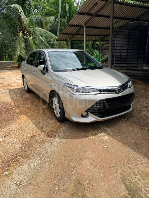 Advertisement image 6