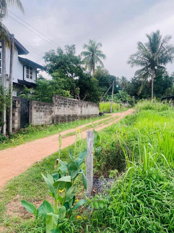 Residential Land for Sale in Ridigama