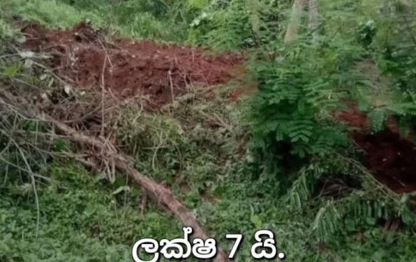 Residential Land for Sale in Ratnapura