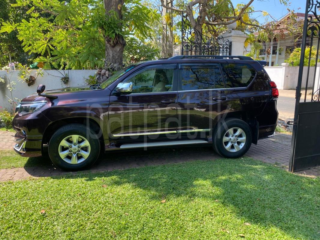 Advertisement image 2