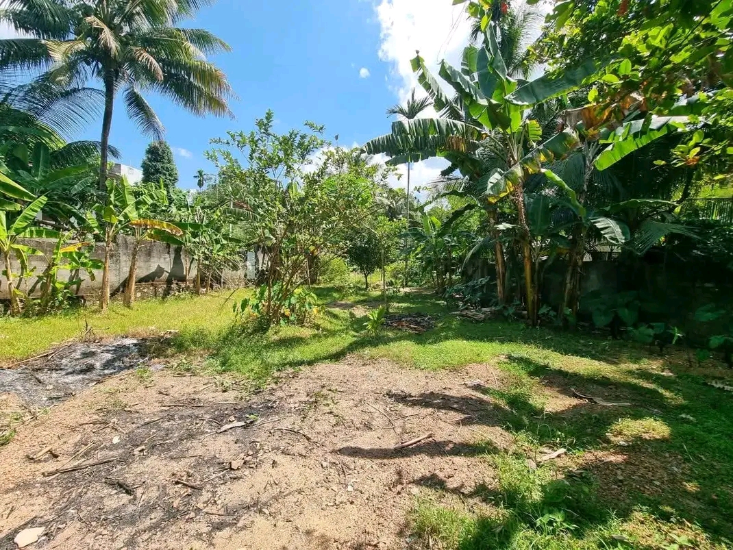 Residential Land for Sale in Piliyandala