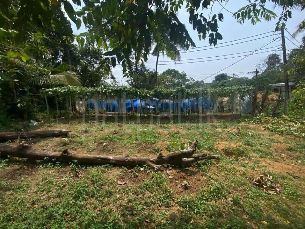 Residential Land for Sale in Gonapola Junction