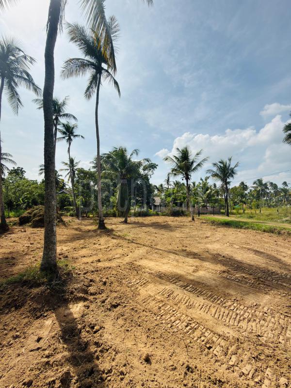 Residential Land for Sale in Kuliyapitiya ads-image-1