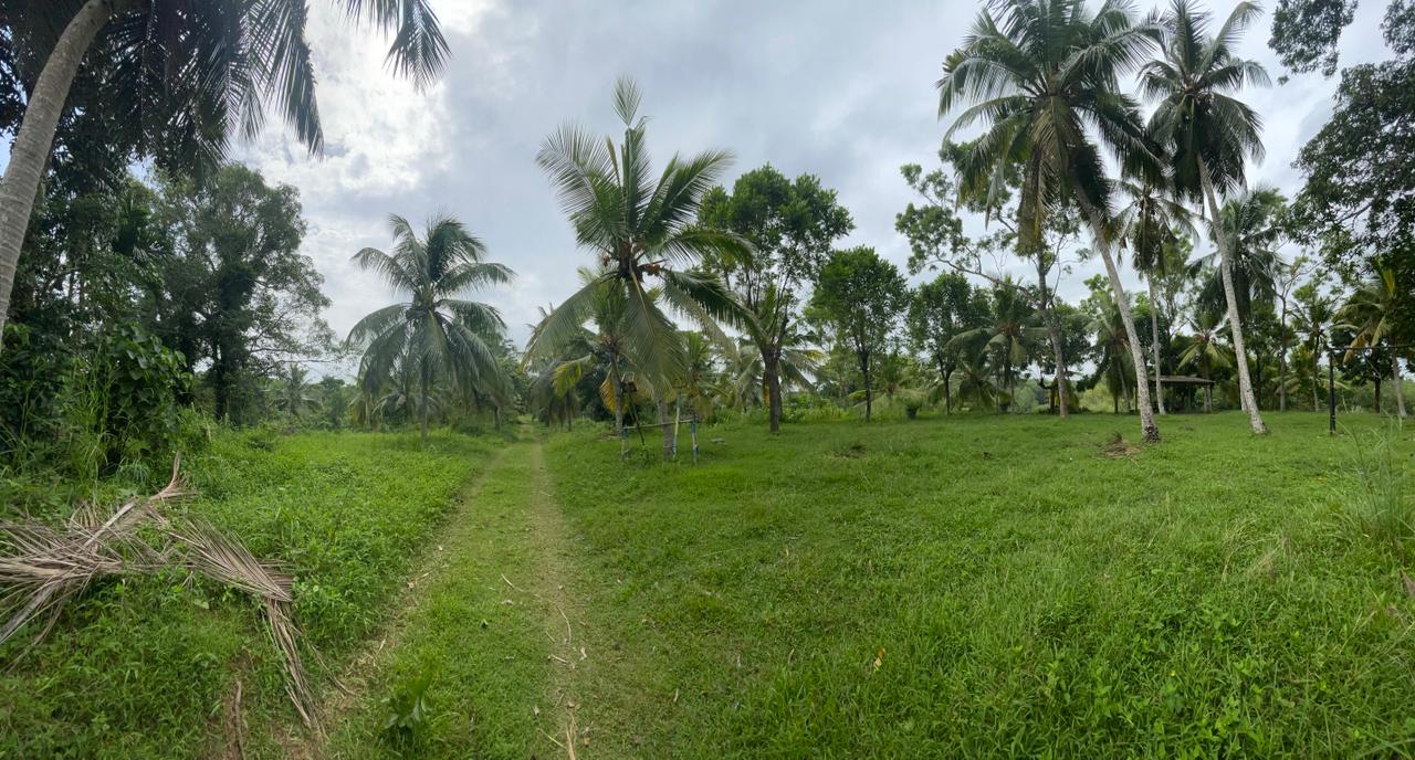 Commercial Land for Sale in Piliyandala