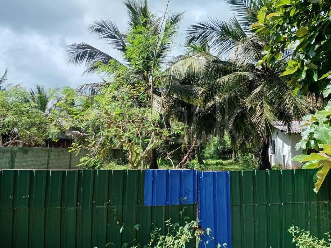 Advertisement image 1