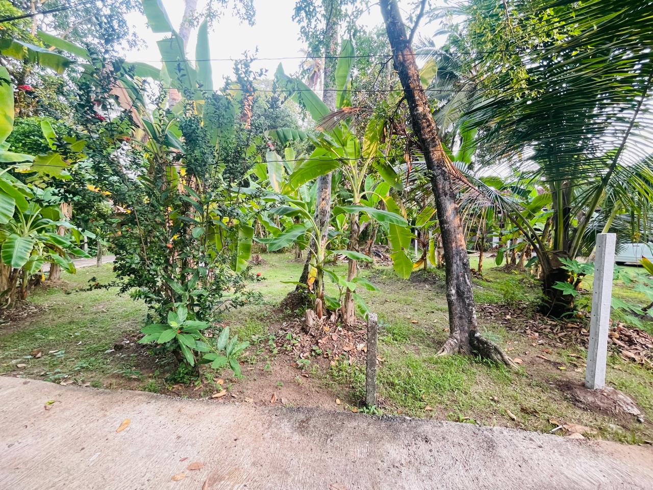 Commercial Land for Rent in Ja-Ela