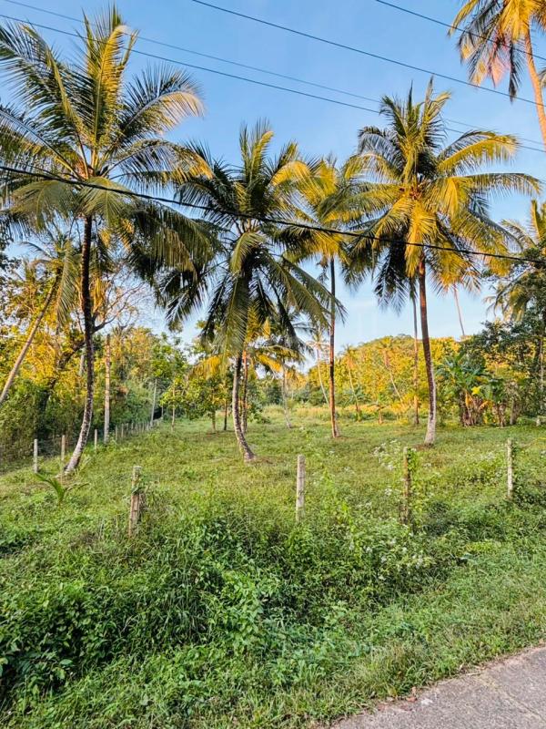 Advertisement image 8