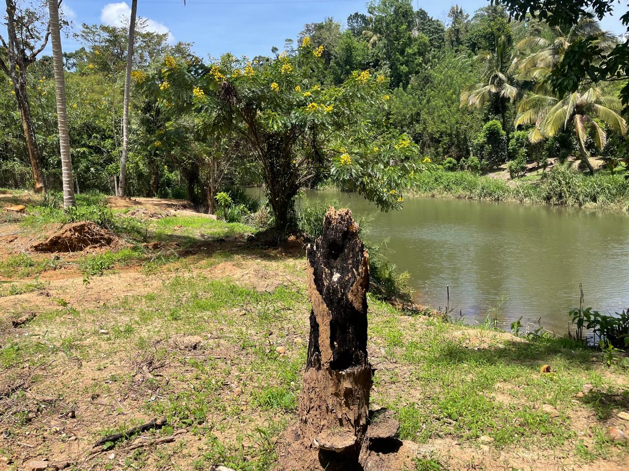 Residential Land for Sale in Balangoda