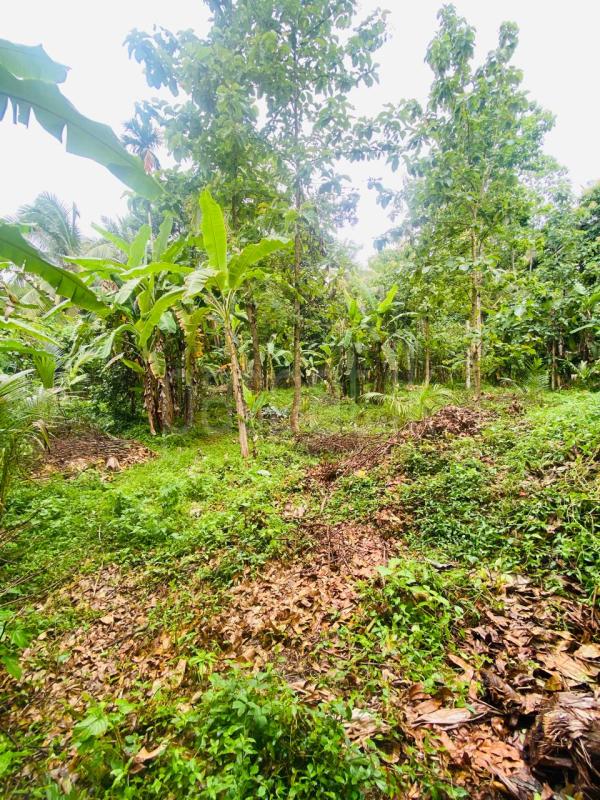 Residential Land for Sale in Kurunegala