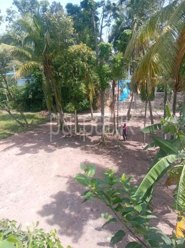 Residential Land for Sale in Veyangoda