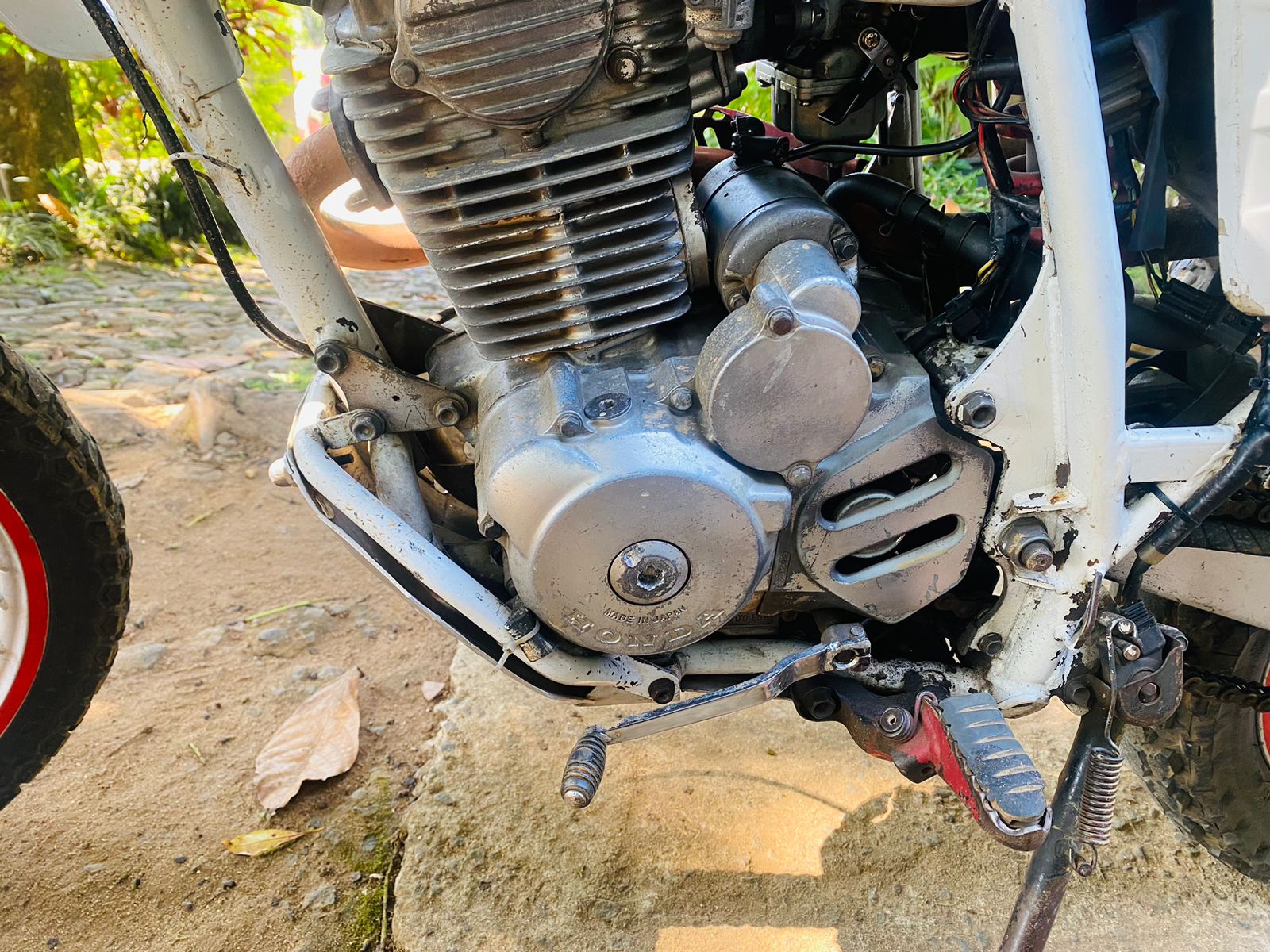 Advertisement image 6