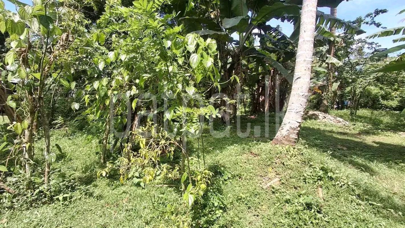 Residential Land for Sale in Biyagama