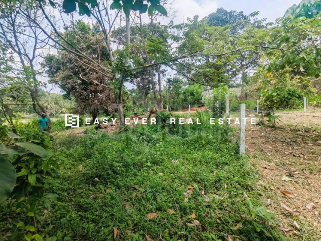 Residential Land for Sale in Thihariya