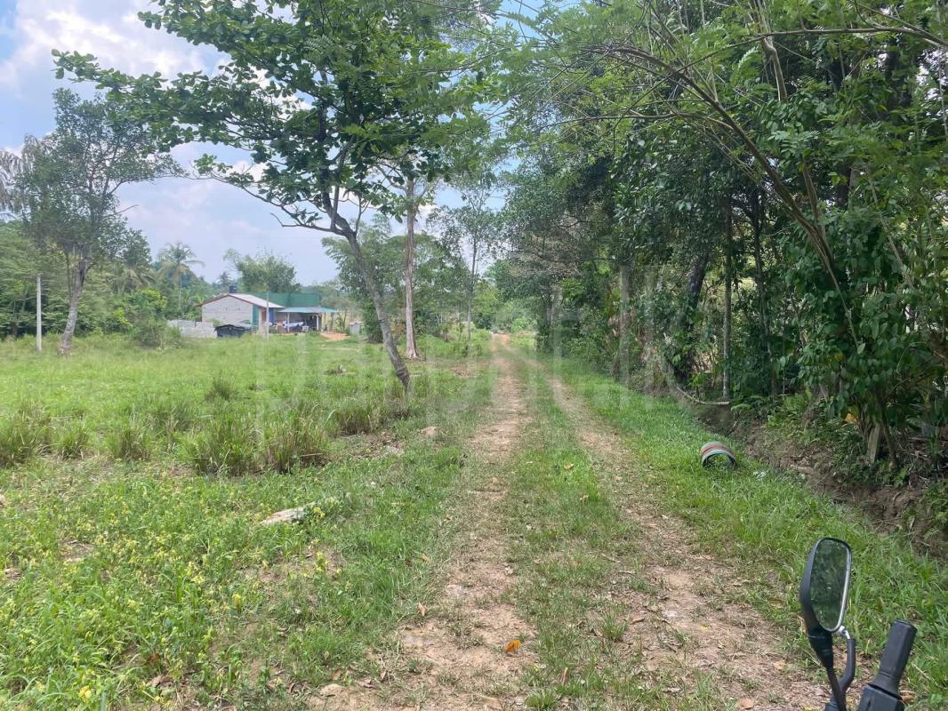 Commercial Land for Sale in Polgasowita