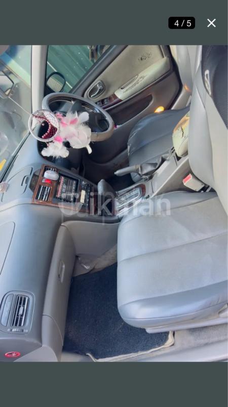 Advertisement image 4