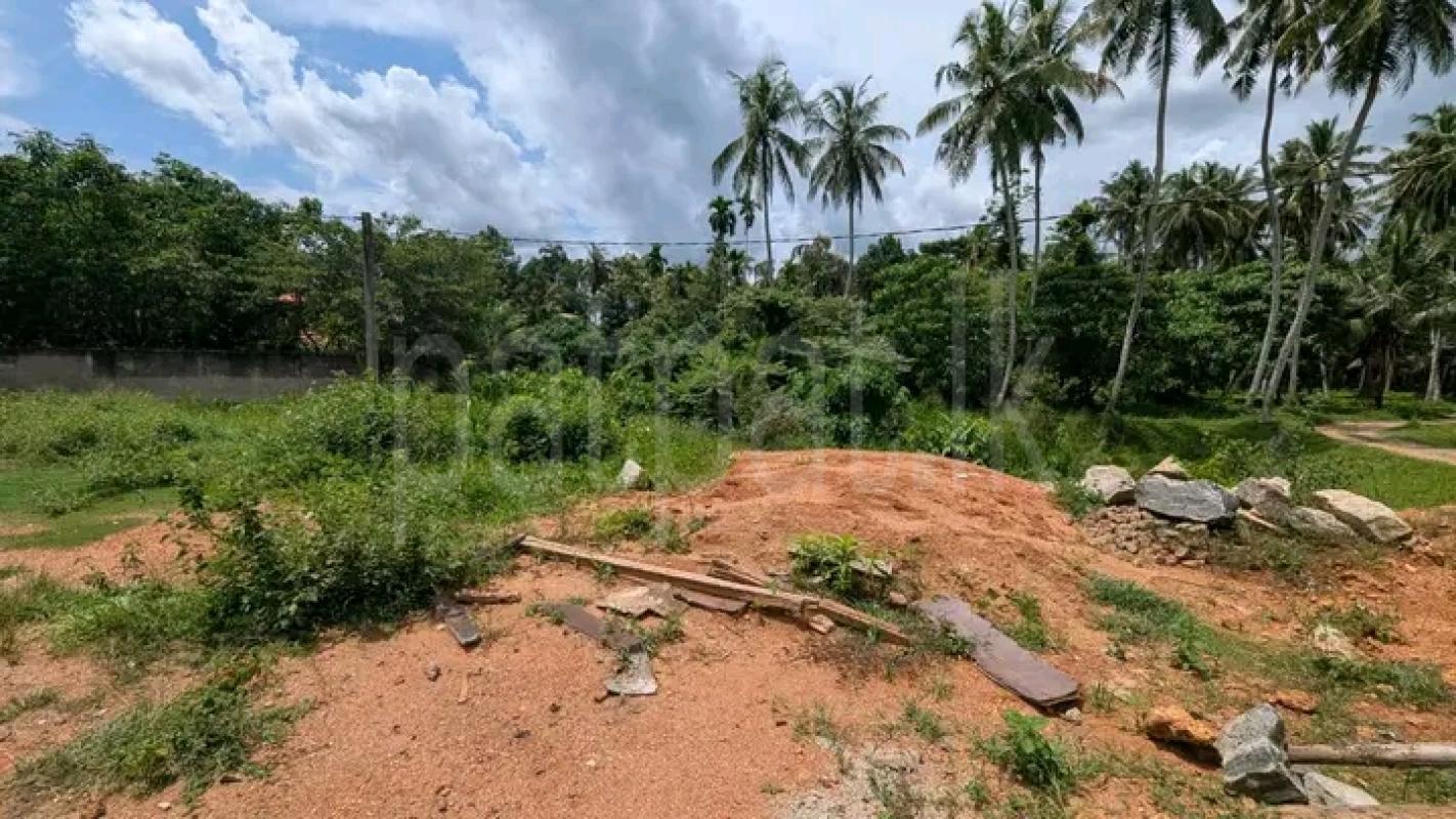 Commercial Land for Sale in Minuwangoda
