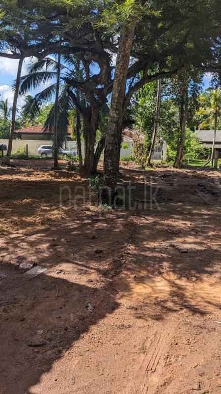 Commercial Land for Rent in Raddolugama