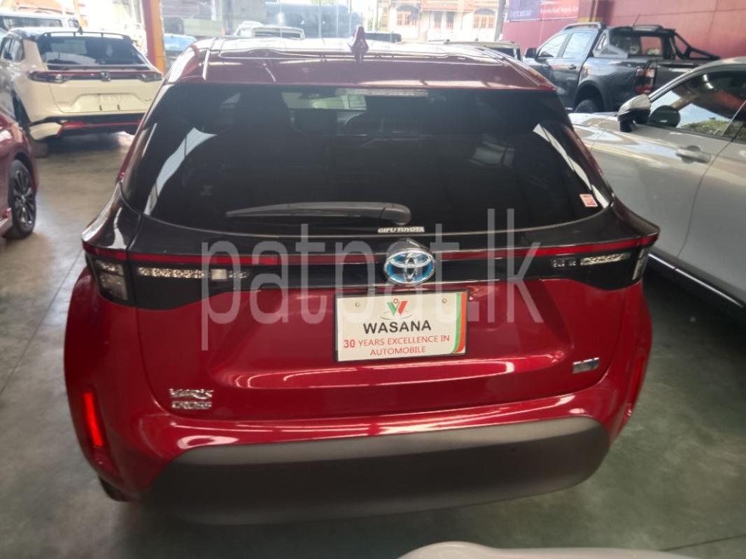 Advertisement image 6