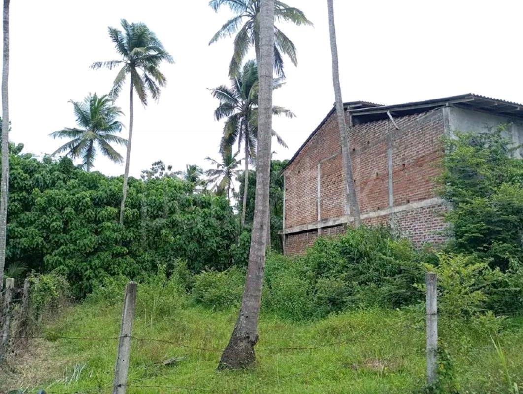 Commercial Land for Sale in Narammala ads-image-1