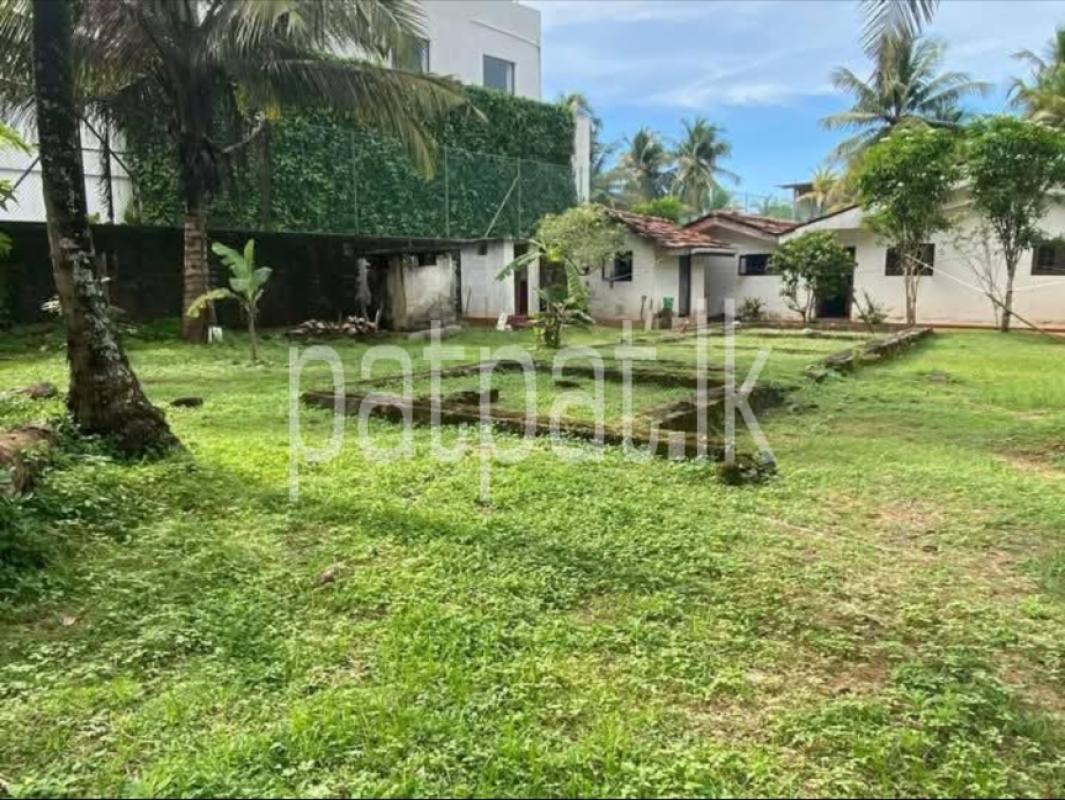 premium-listing-image