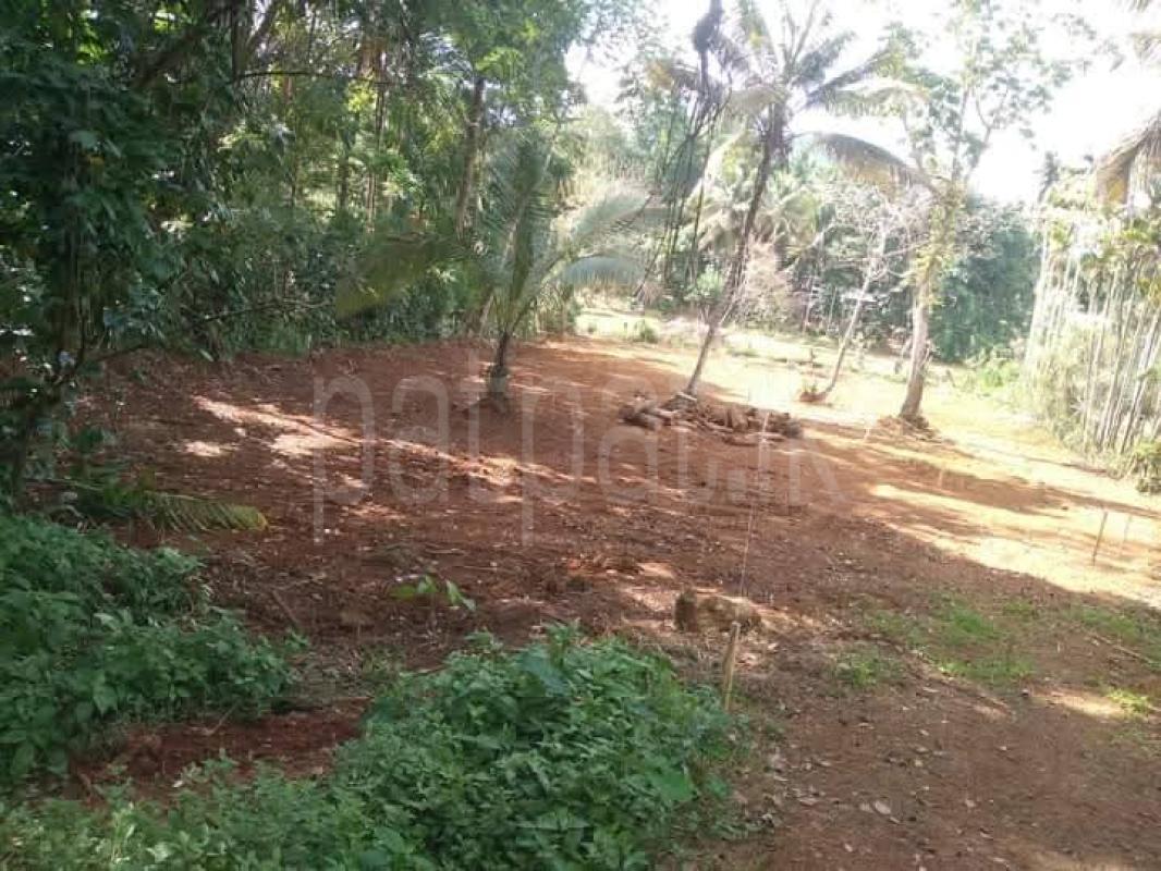 Advertisement image 1