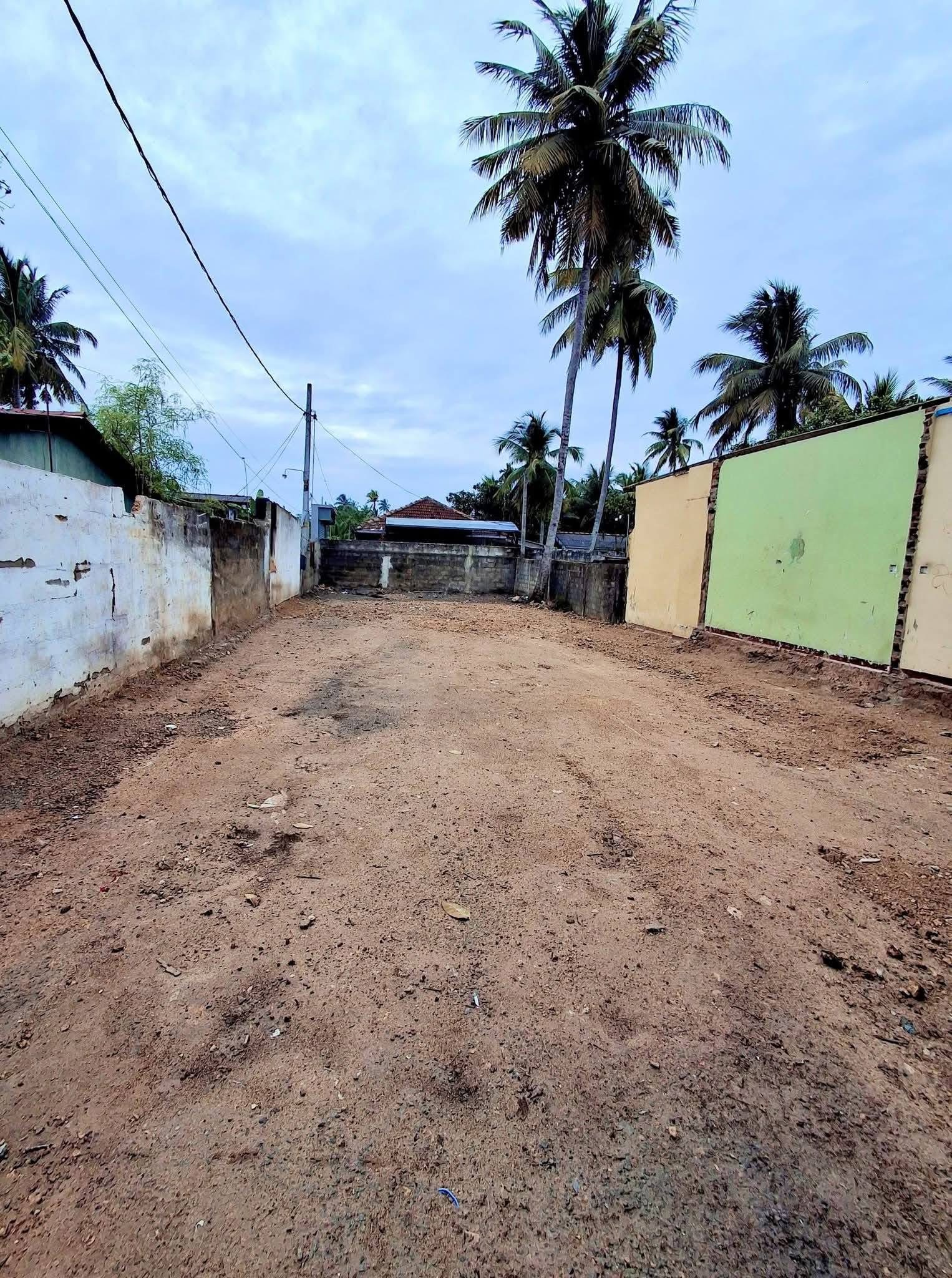 Agricultural Land for Sale in Panadura