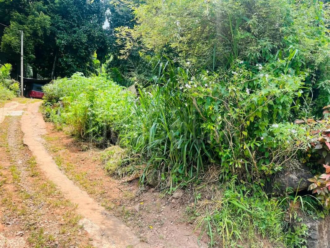 Residential Land for Sale in Pamunugama