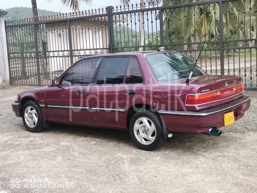 Advertisement image 4