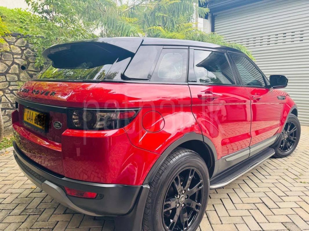 Advertisement image 6