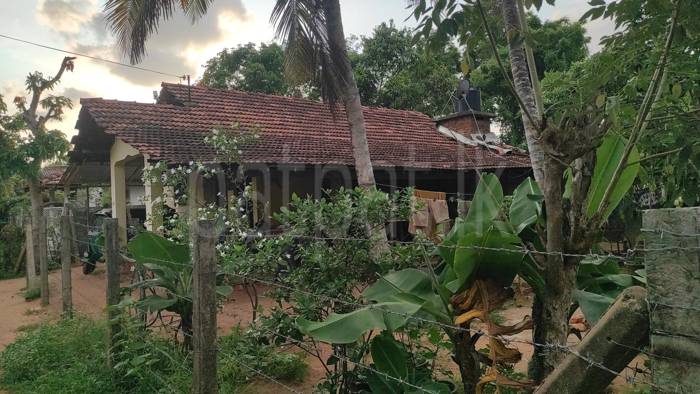 House for Sale in Kochchikade