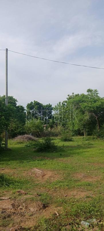 Residential Land for Sale in Kataragama