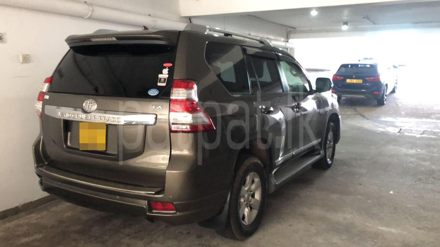 Advertisement image 3