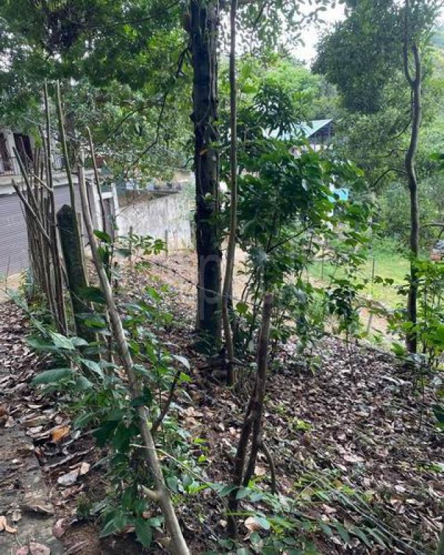 Residential Land for Sale in Kandy