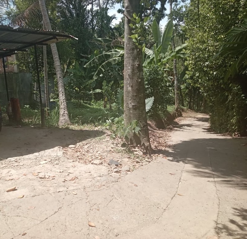 Residential Land for Sale in Medawala Harispattuwa
